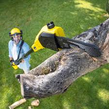 Best Utility Line Clearance  in Eagan, MN