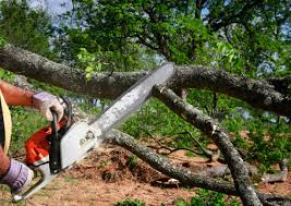 Best Seasonal Cleanup (Spring/Fall)  in Eagan, MN