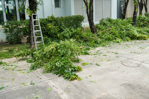  Eagan, MN Tree Removal Pros