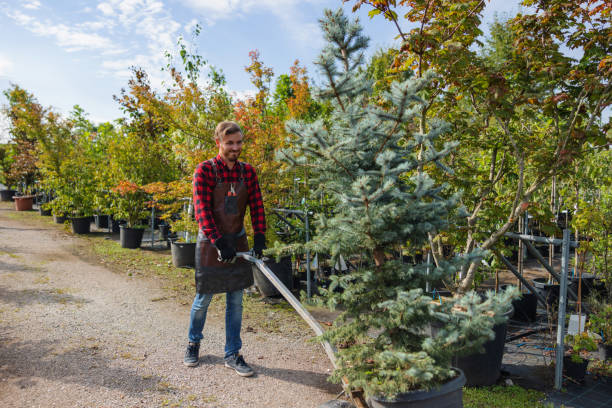 Best Tree Mulching  in Eagan, MN